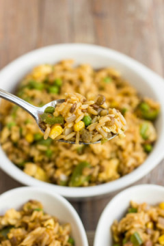 veg rice (breyani)